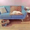 Pet Adobe 100 percent Waterproof Pet Furniture Quilted Protector Pad for Pets, Kids and Adults 36x28 (Brown) 872256GAM - alternate 1